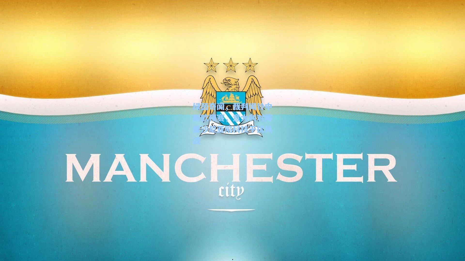 绿茵奇闻，裁判闻铃中断欧预赛，意大利对阵爱沙尼亚陷科技干扰风波