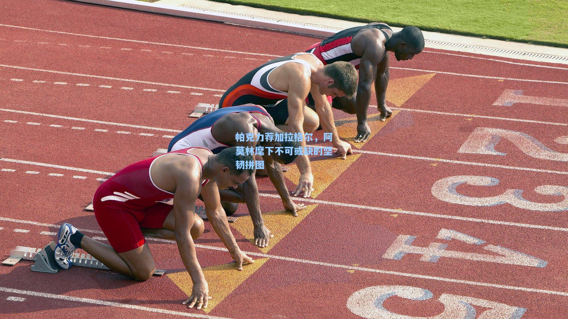 帕克力荐加拉格尔，阿莫林麾下不可或缺的坚韧拼图